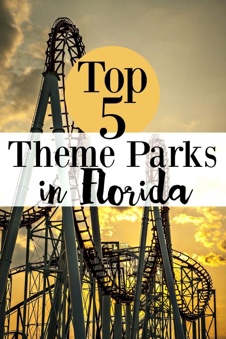 Top 5 Theme Parks In Florida Family Travel Amusement Parks