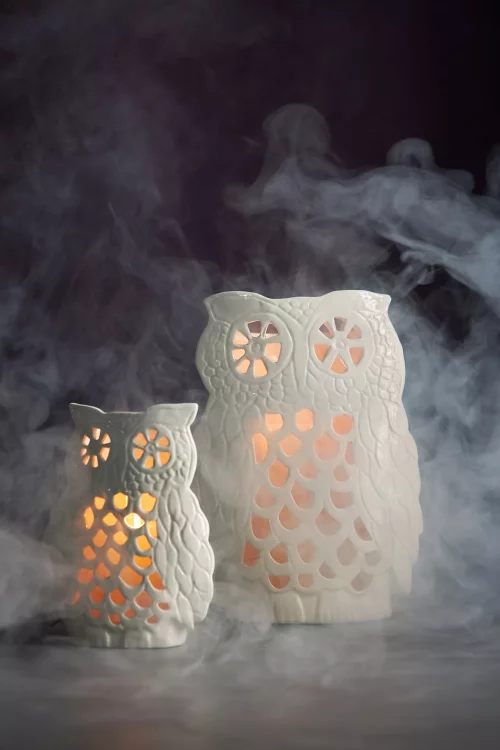 Anthropologie Francesca Kaye Halloween Magic Owl Lantern