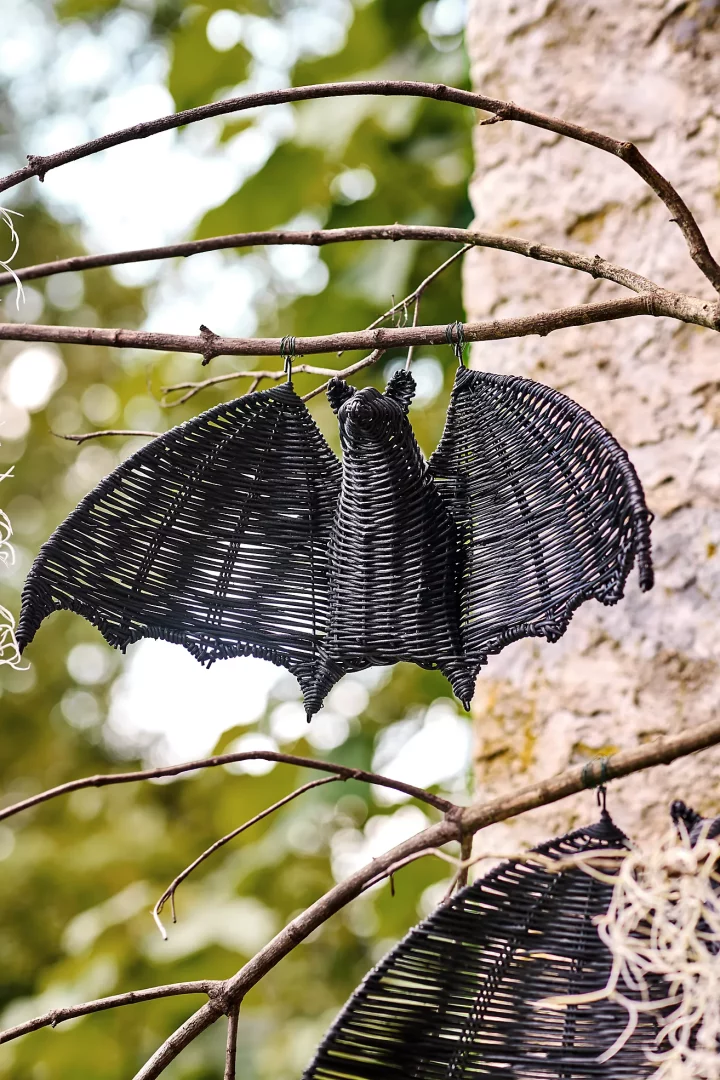 Anthropologie Rattan Bat