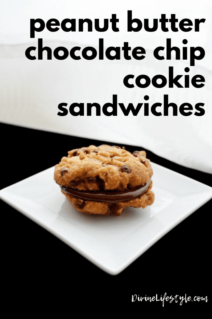 Peanut Butter Sandwich Cookies with Chocolate Filling
