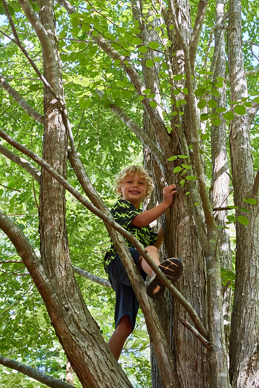 kohls boys nike clothes