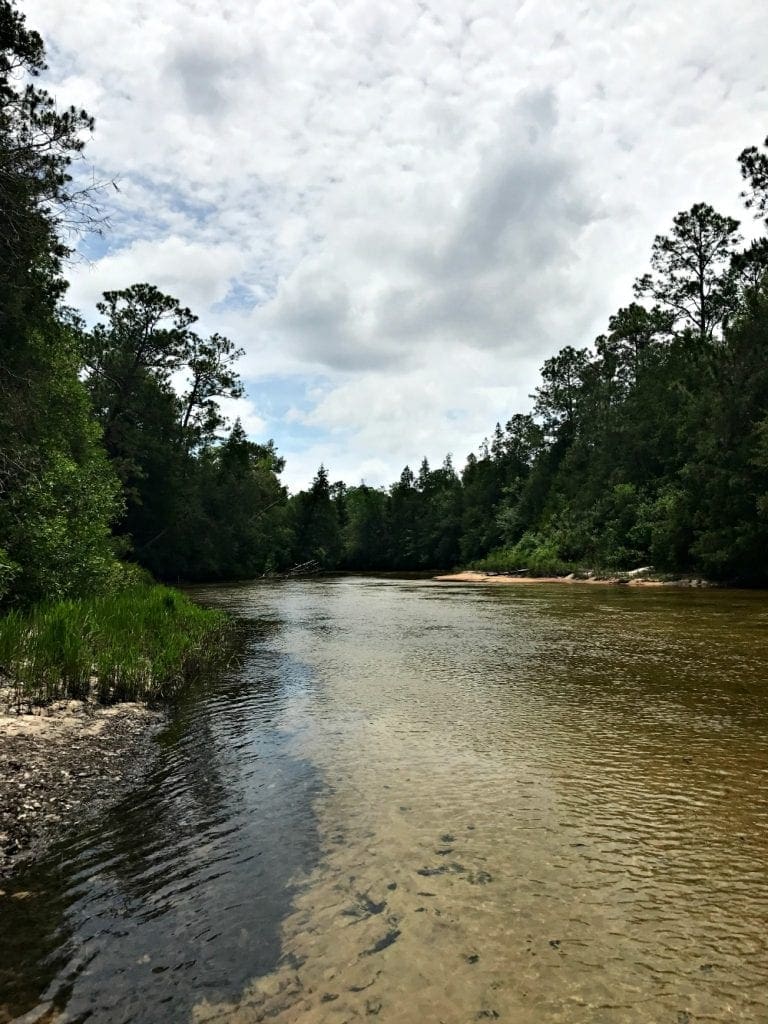 5 Reasons to Vacation in Navarre Florida Beach Divine Lifestyle