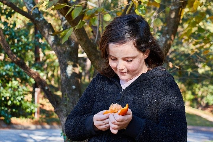 Clementine Shortcake Recipe