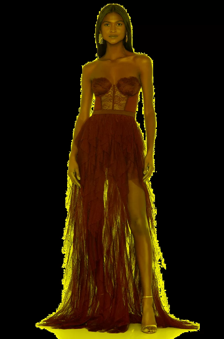 For Love & Lemons Bustier Gown
