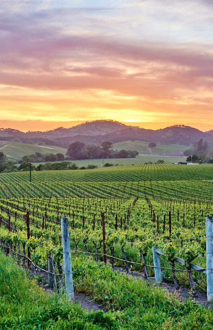 What to Do in Napa Valley