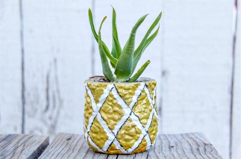 Easy Diy Pineapple Succulent Planter Gardening Plants 6838