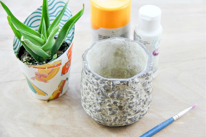 Easy DIY Pineapple Succulent Planter