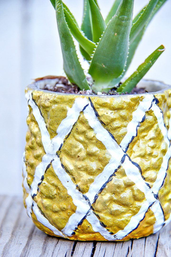 Easy DIY Pineapple Succulent Planter