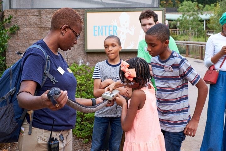 Zoo Atlanta's Twilight Trek 6