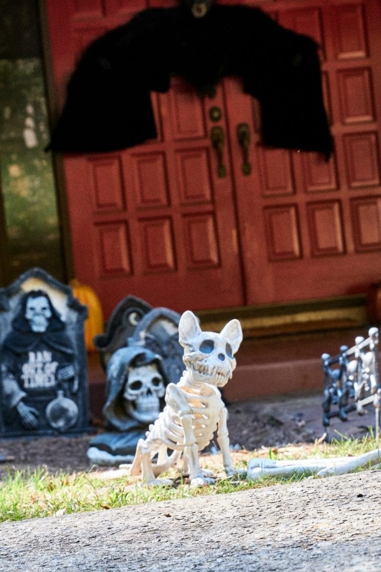 Eerie Entryways with Wayfair Halloween Decorations