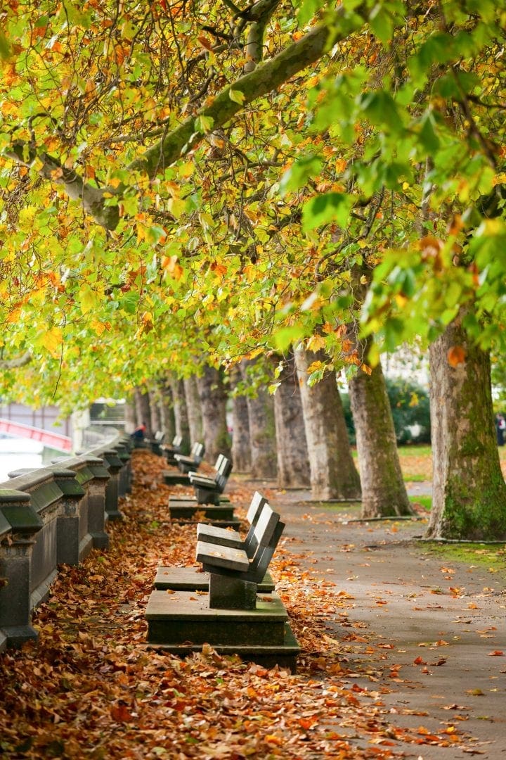 Best Parks in London