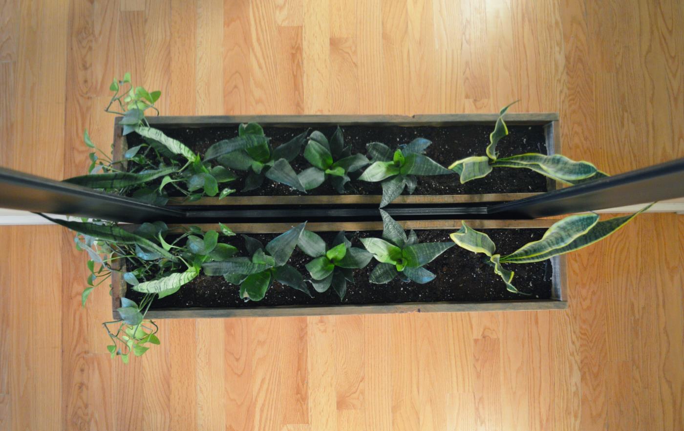 Diy Rectangle Wood Planter Box Plans Free Ideas