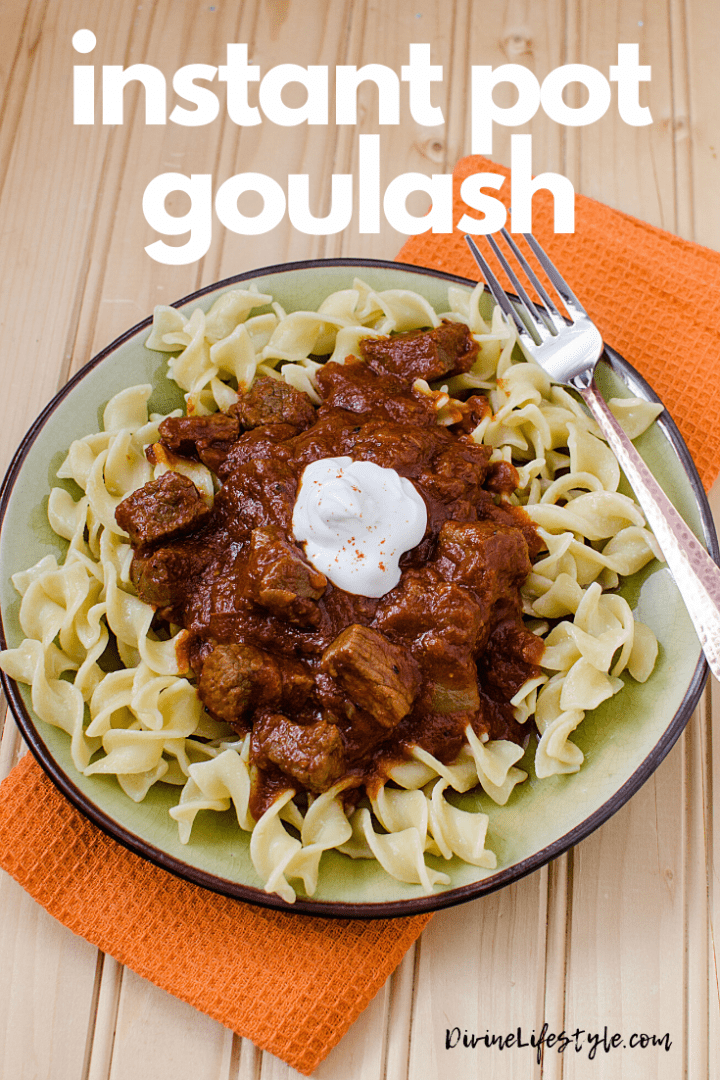Best Instant Pot Goulash