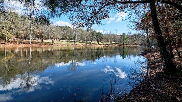 Top 3 Must Visit South Carolina State Parks for Families - MUSGROVE MILL 5