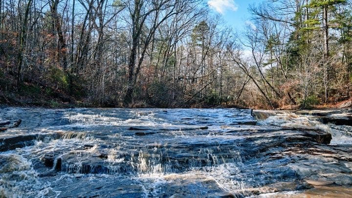 Top 3 Must Visit South Carolina State Parks for Families - MUSGROVE MILL 6