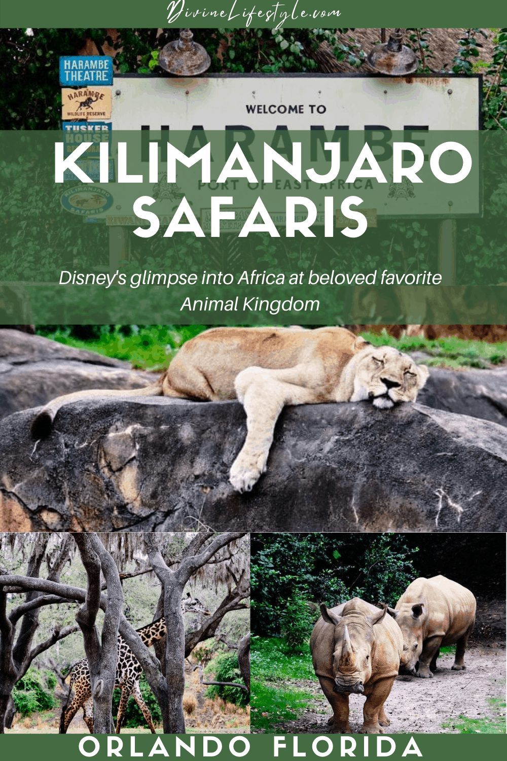 Ultimate Guide to Kilimanjaro Safaris by Disney