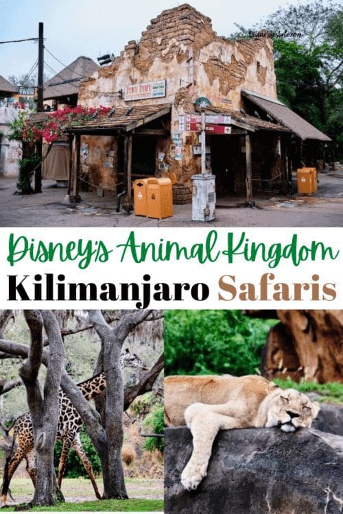 how long is kilimanjaro safari disney