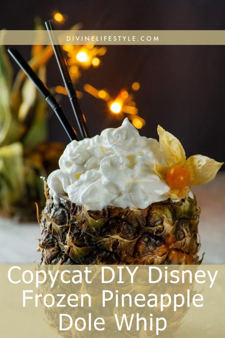 Copycat DIY Disney Frozen Pineapple Dole Whip