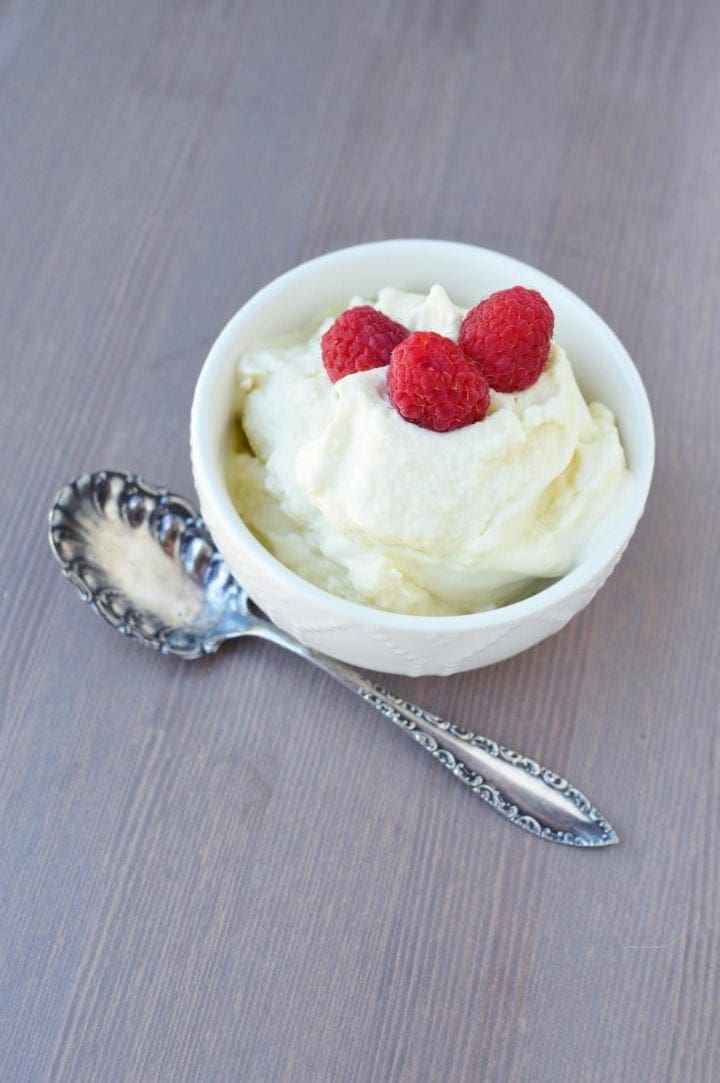 DIY Disney Dole Whip Dairy Free Recipe | Whipped NICE Cream