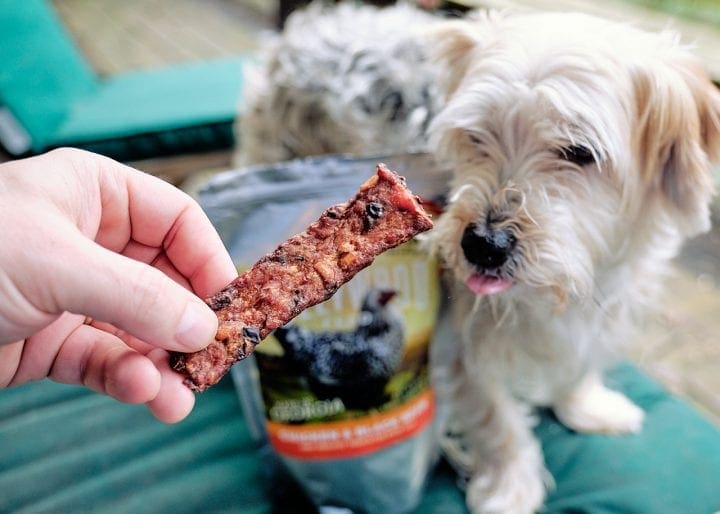 Hollywood Feed Curbside Pick-Up Chicken Jerky dog treats