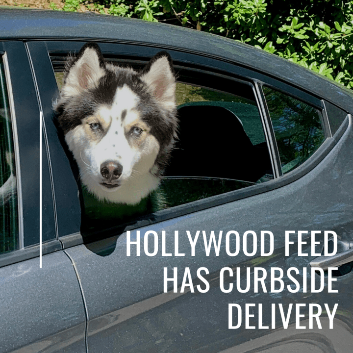 Get Hollywood Feed Curbside Pick-Up for the Pet Supplies You Need