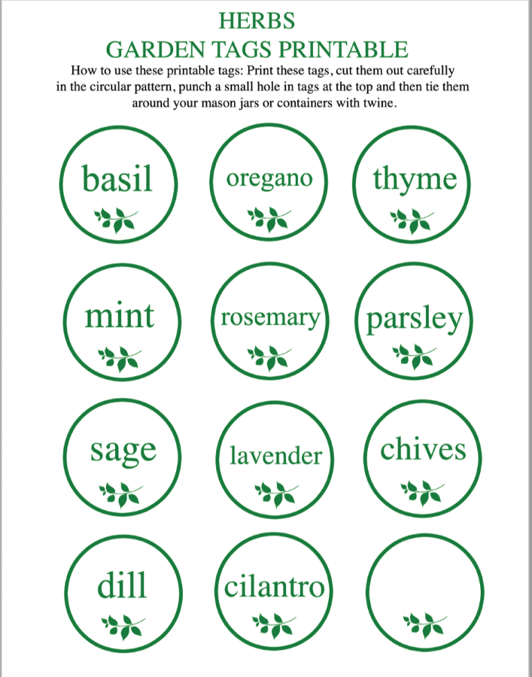 Indoor Windowsill Herb Garden + Free Printable Herb Garden Tags