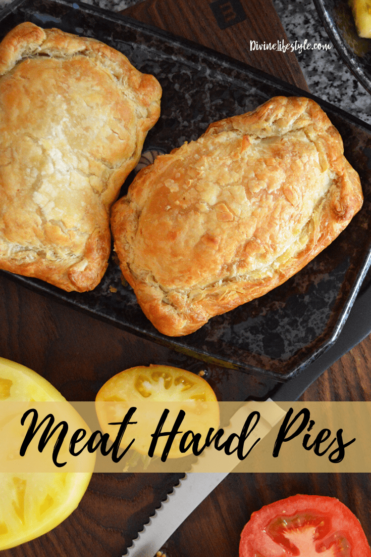 Easy Meat Hand Pies Recipe