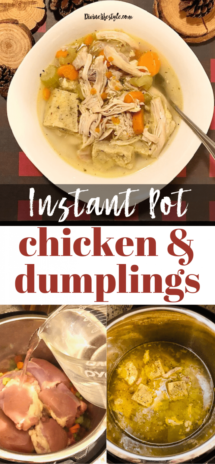 Instant Pot Chicken and Dumplings from Scratch Dinner Recipe