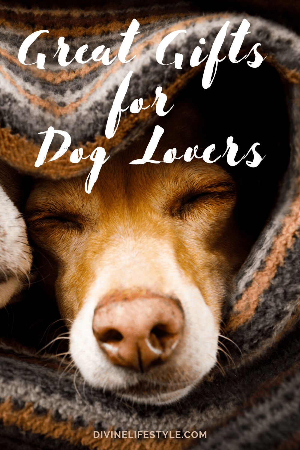 Xmas Presents for Dog Lovers dog themed gifts amazon