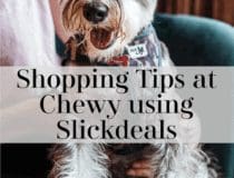 Shopping Hacks and Tips at Chewy using Slickdeals
