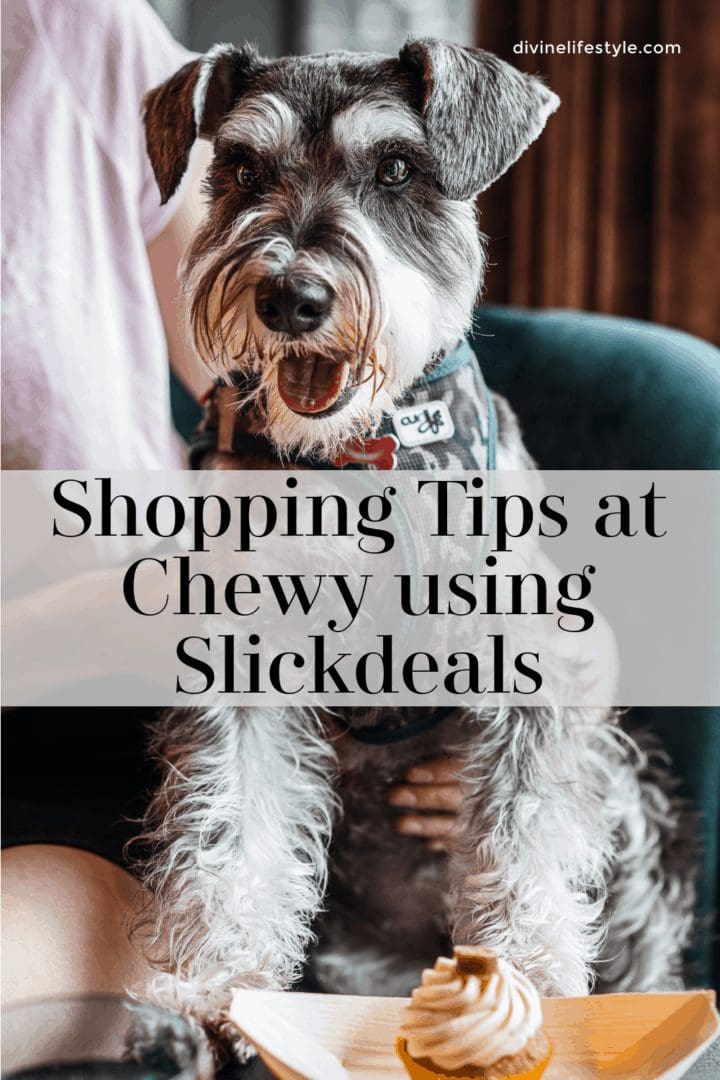 Shopping Hacks and Tips at Chewy using Slickdeals