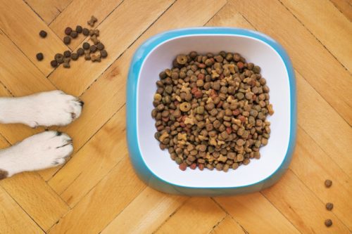 How to Pick Dog Food