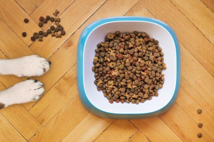How to Pick Dog Food