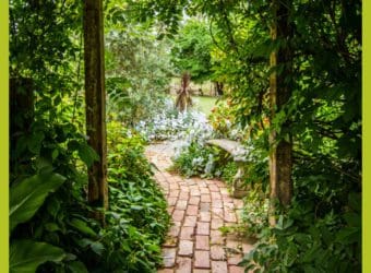 Making Your Ideal Garden This Summer
