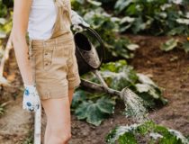 Making Your Ideal Garden This Summer
