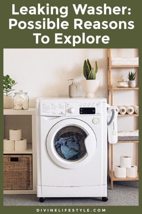 Why is my Washer Leaking? Home Appliance Troubleshooting