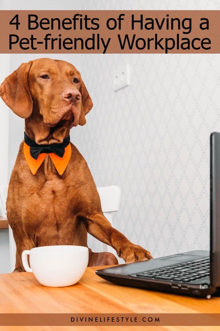 Benefits of Pet Friendly Workplaces