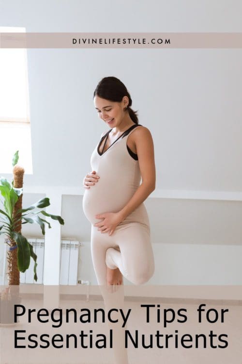 Pregnancy Tips for Essential Nutrients