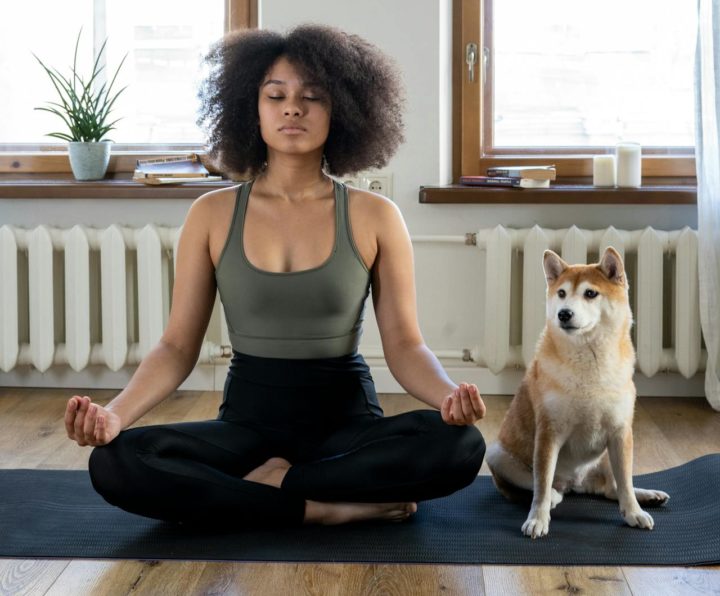 How to Keep Dogs Healthy How to Keep Dogs Healthy