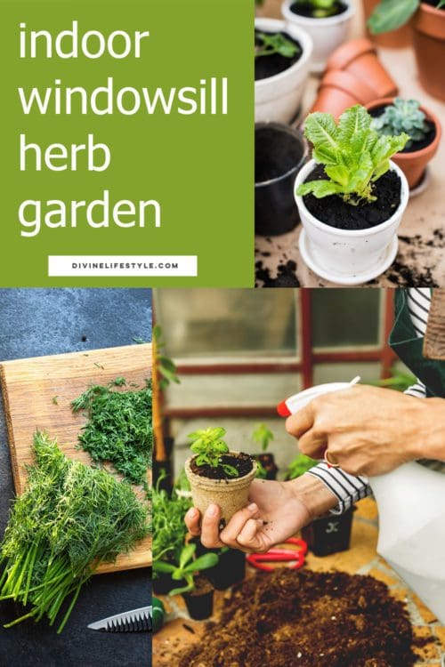 How to Make a Windowsill Herb Garden DIY herb container garden indoor