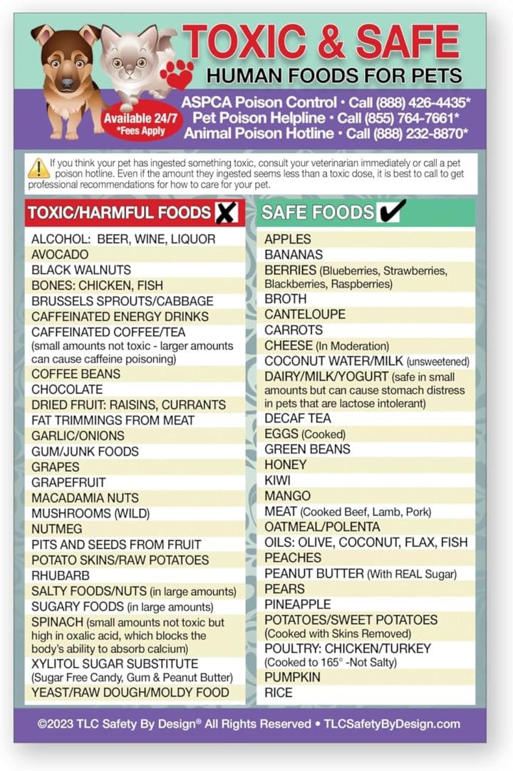 Toxic foods for dogs poster