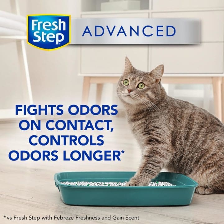 Fresh Step Scoopable Clumping Cat Litter