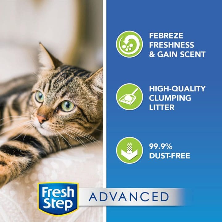 Fresh Step Scoopable Clumping Cat Litter Advanced