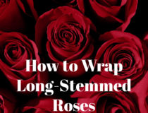 How to Wrap Long-stem Roses? 5 Tips from the Florist