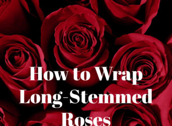 How to Wrap Long-stem Roses? 5 Tips from the Florist