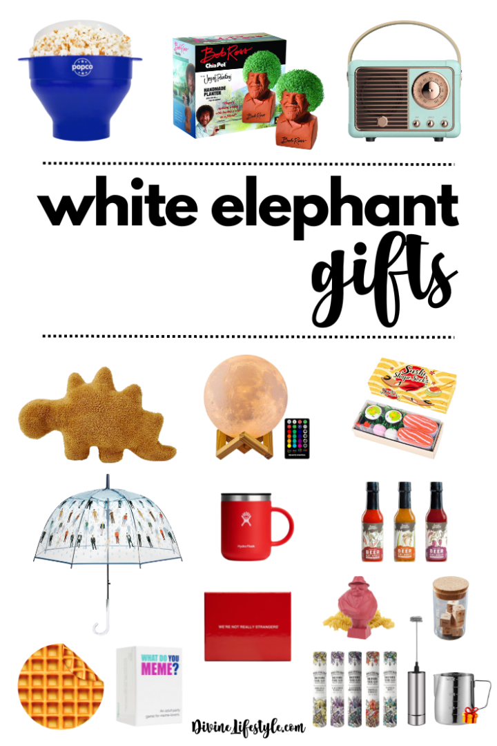 Good White Elephant Gifts $25