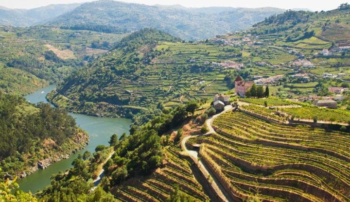 Douro Valley Portugal