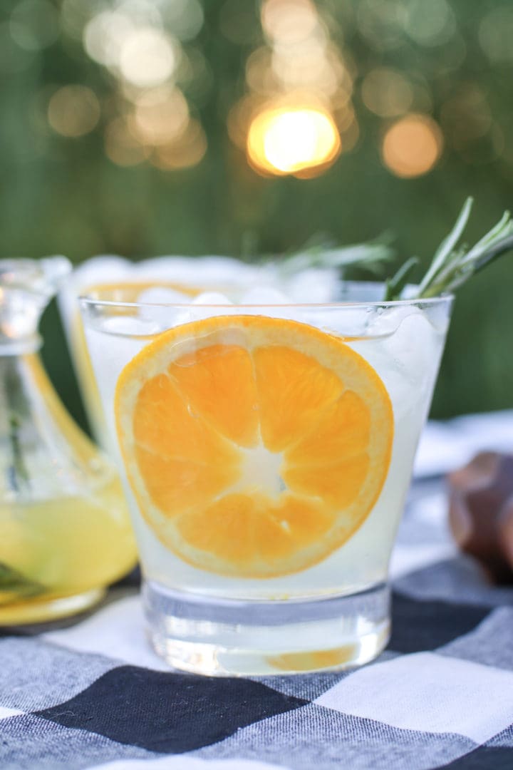 Lemon Vodka Spritzer Recipe