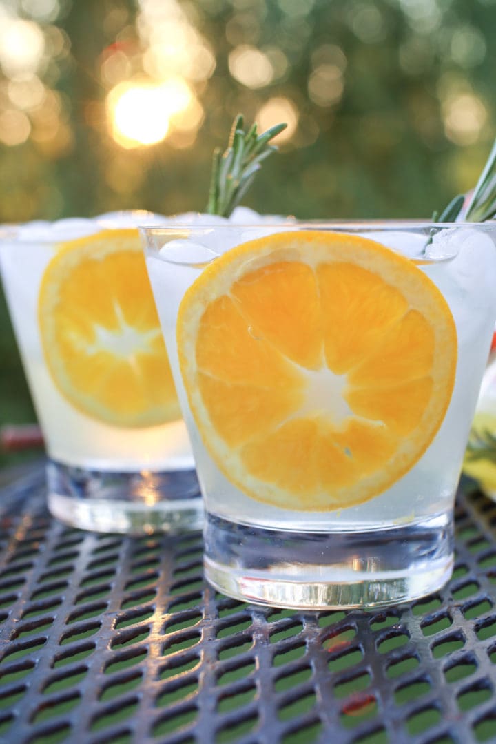 Lemon Vodka Spritzer Recipe