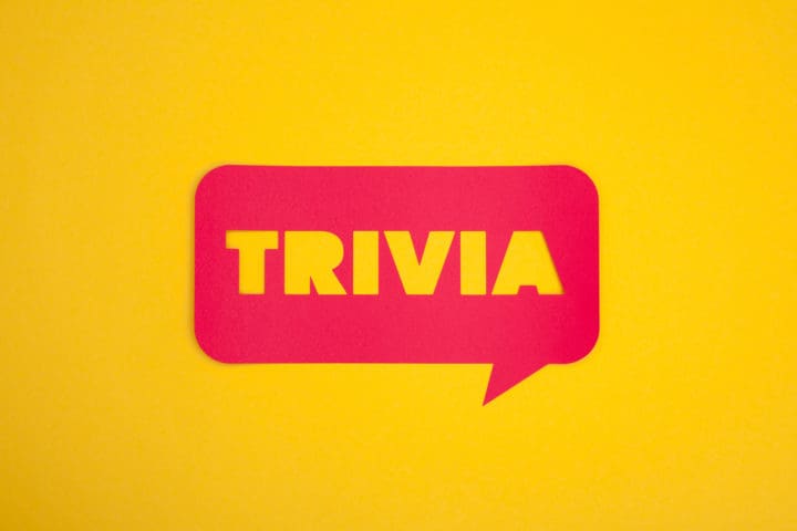 The trivia cardboard text sign